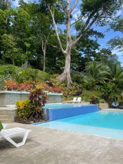 Villa Colibri - Private 1 Bedroom Studio/Bachelor 蓬塔乌巴 外观 照片