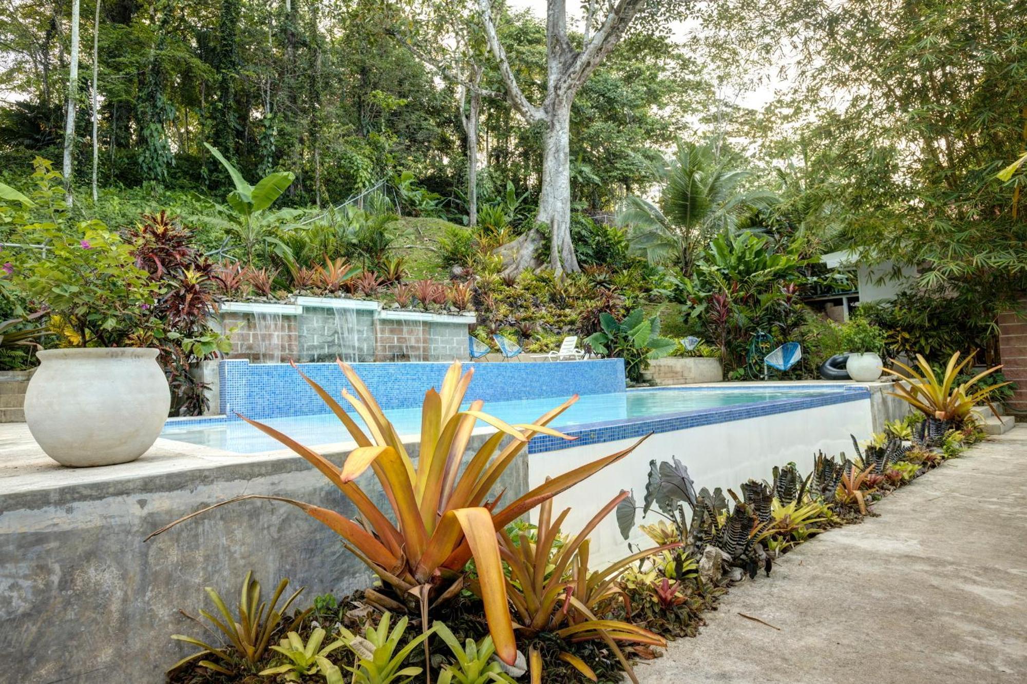 Villa Colibri - Private 1 Bedroom Studio/Bachelor 蓬塔乌巴 外观 照片